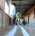 T-paper-timeline1