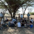 Students learning about ecology under the shade of an Acacia tortilis tree