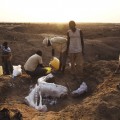 Turkana 12