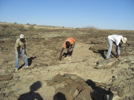 Francis, John, and Charles take a look at the site. The mound of flat stones is covering the elephant's fossil remains, keeping them safe from erosion and weathering.