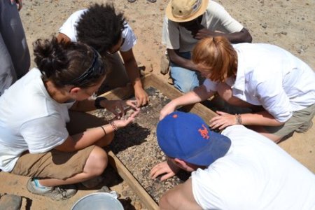 Students search through the sieved sediment for fossil fragments.