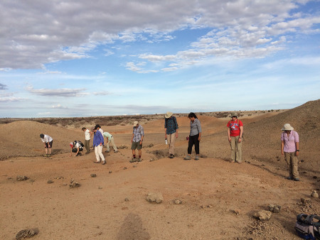 Field School students move slowly across the screened area where hominid teeth has been found by Dr. Meave Leakey's fossil team. 