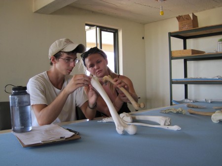 Dylan and Rachel compare the joints of two different species.