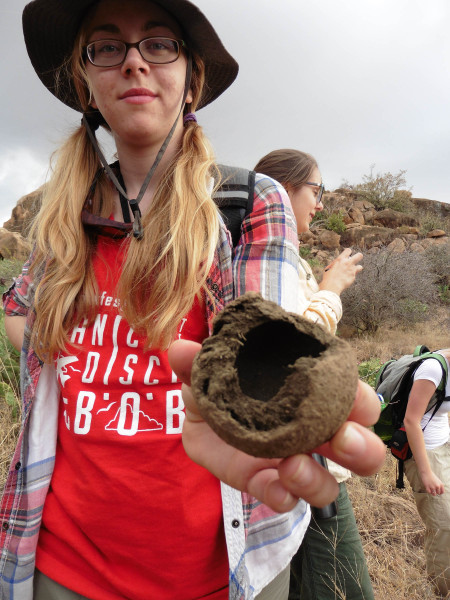 Jeanette holds what is left of a dung beetle's nest. The beetles were likely dug up and eaten by a mongoose. 
