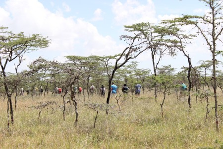 The students hike through the black cotton environment to study its vegetation composition and coverage with Mr. Ndung’u.