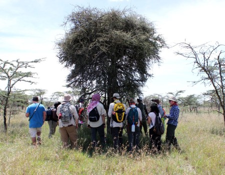 The students gather around as Mr. N’dung’u teaches them about the specific acacia tree species that grow on the black cotton soil.