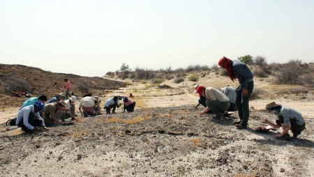 The students split into two teams that will slowly crawl over the hill, removing unwanted rocks and debris.