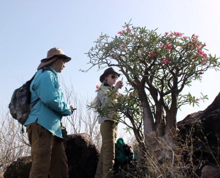 Joe and Kait collect photos and samples of the desert rose.