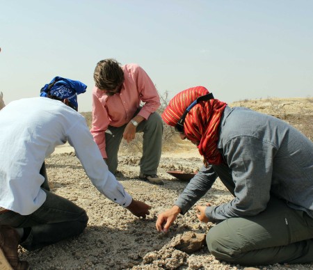 Prof. Fortelius, Niguss and Ryan search the surface for more obvious, larger fossil remains.