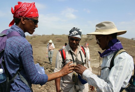Niguss, Tadele and Yemane discuss a fossil find.