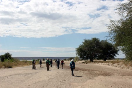 The students follow the laga (dried riverbed) of the Tulu Bor river and enter the delta, seeing fewer and fewer trees.