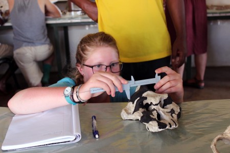 Maddie takes a careful measurement on the Paranthropus skull to later calculate cranial capacity.