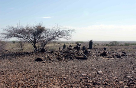 The pillar site at Kalokol. Note the large columns of basalt stone. They are standing upright within a platform made of hundreds of thousands of small pebbles and cobbles collected and carried by hand in the site's construction.