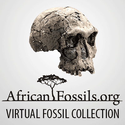 african-fossils