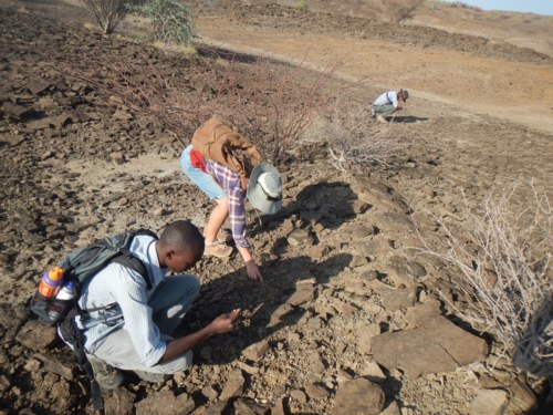 Tobias, Emily, and Jon comb through the sediments as they look for fossils.