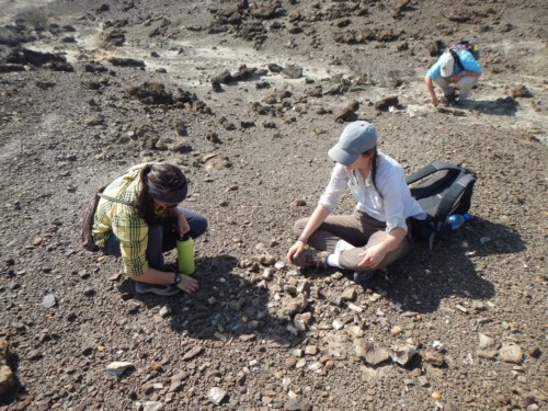 Jayde and Millie examine this group of fossils.