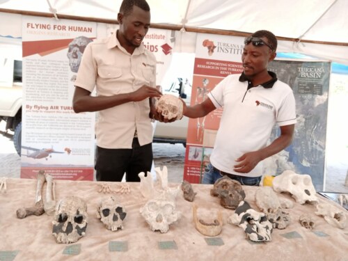 Martin Kirinya and Emmanuel Aipa showcase fossils in the TBI booth at the Tobong'u Lore Festival 2021