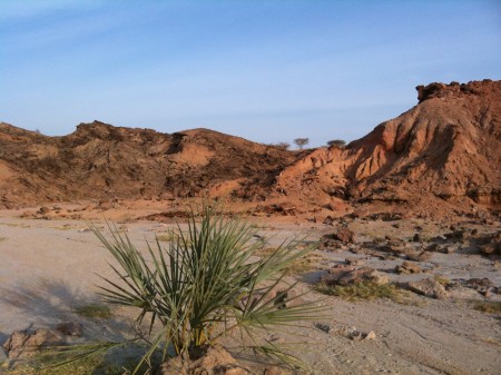 Fossil exposures near TBI's Turkwel research facility, on the west side of Lake Turkana