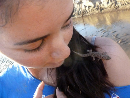 Marcela meets the Fat-Tailed Gecko