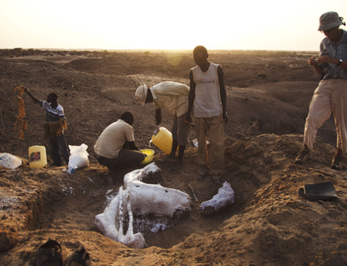 PBS airs Turkana Basin documentary