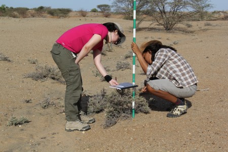 Ashley and Ana measure