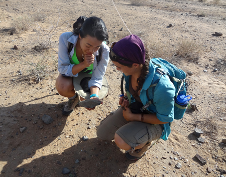 GEO303 – Lorraine and Luisa find a bifaced hand axe at Lothagam.
