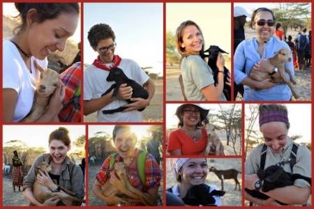 All the cuteness as the students and the TA cuddle the baby goats.