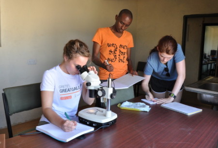 Sarah, Abdi and Kate observe and draw a mosquito in the larvae stage.