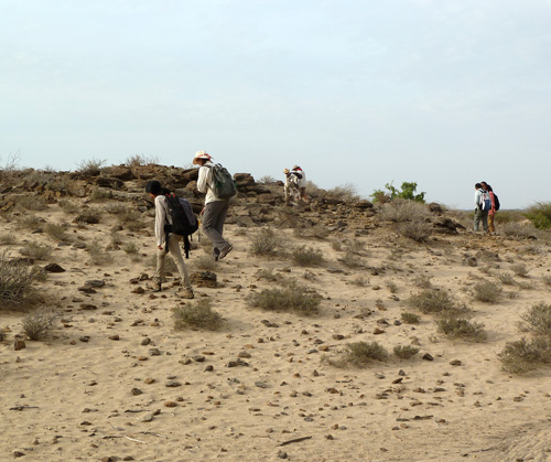 Spring 2014 Students begin the hunt for fossils