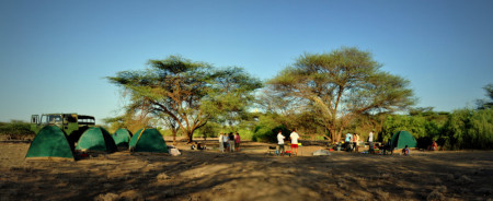 A view of the camp on the morning of day 2 (click to enlarge).