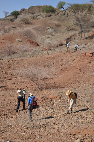 The students begin their search of the outcrops.