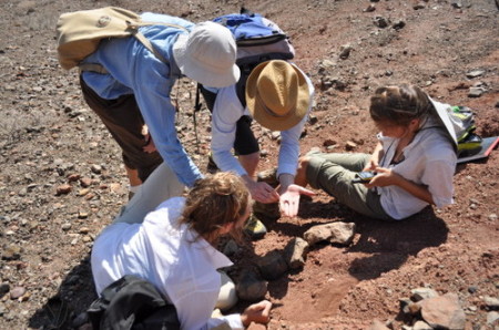 Meave and Dr. Skinner inspect some of the fossils Robyn and Kailie found.