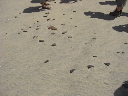 Pot sherds in the sand.