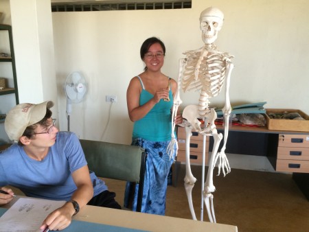 Sam and Dylan study the human skeleton