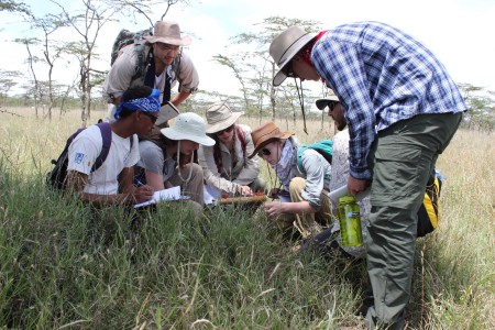 Team 2 students (Rob, Ryan, Kait, Jen, Milena, Niguss and Joe) learn how to use a pin-frame to estimate plant species coverage and composition in the black cotton soil habitat.