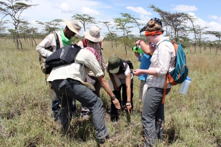 A team of students (Yemane, Tadele, Even, Adriadne, Max and Maddie) uses a quadrat to estimate the plant species coverage and composition in the black cotton soil environment.