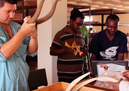 Martin shows images of fully fleshed animals to Tadele to help him visualize the skeleton on the table.