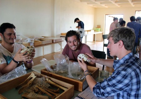 Max, Jamie and Rob check out some carnivore skulls.