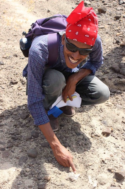 Niguss has found a hippo tooth!