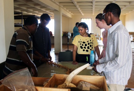 TBI students gathered around tables with modern animal skeletons, working together to understand how the bones work together.