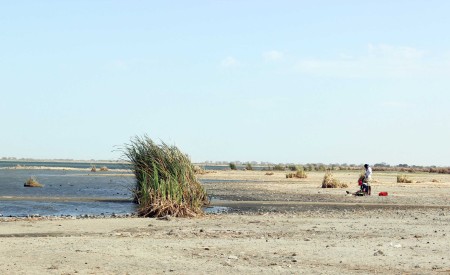 The tufts of reeds are remnants of when the lake levels were higher. You can tell how quickly the lake level is falling along this shoreline.