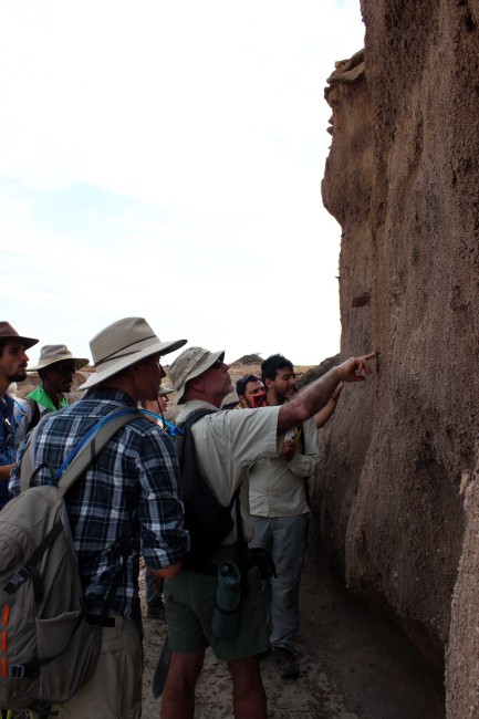 Prof. Feibel points out some features indicating this layer is made of soil - meaning at this point in time the area was terrestrial, not underneath lake.