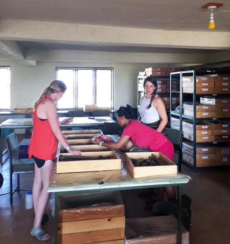 Maddie, Jen, and Adriadne work on their measurements for their group project on muscle attachment sites on the femur.