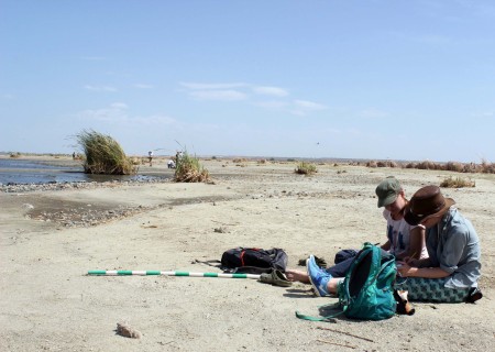 Milena and Kait draw up a rough sketch of their elevation measurements for their shoreline transect. Sketching in the field is a key skill to remember what your data actually looked like.