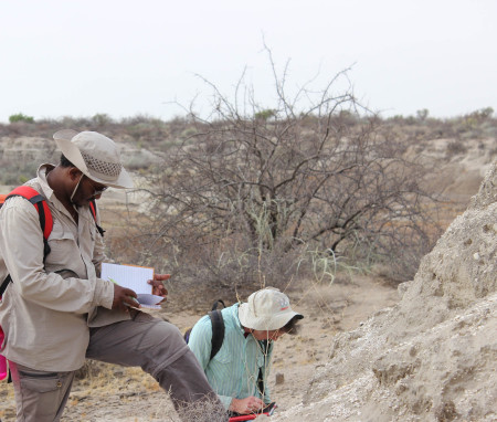 Tadele records the specific features of this member - most notably the little marine shells.