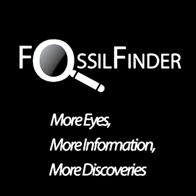 fossilfinder