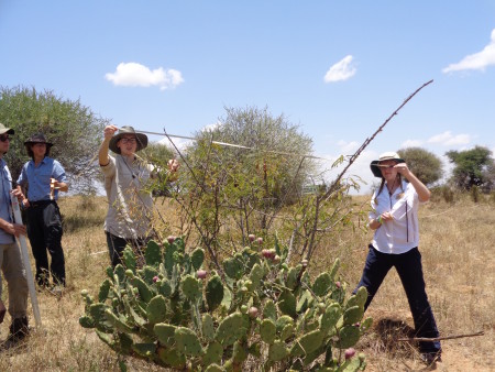 Danielle and Natalie measuring the width of (species)