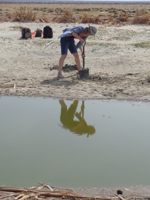 Emily digging a trench!