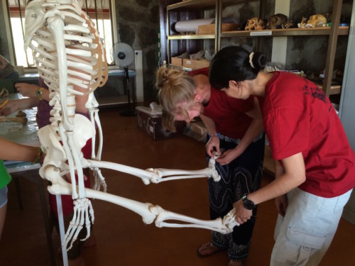 Carla and Natalie try to figure out which side the metatarsal is from