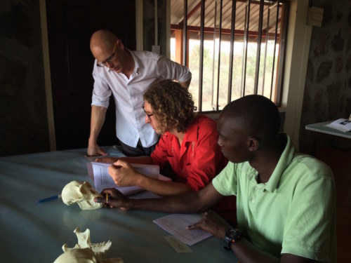 Dr. Skinner discusses the similarities and differences seen in the chimpanzee, orangutan and Sivapithecus skull with Jon and Toby